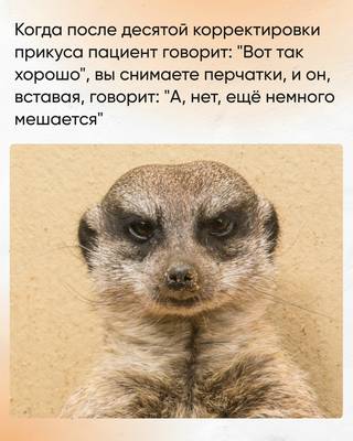 Мем